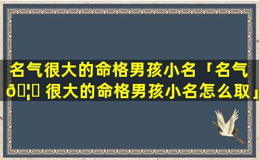 名气很大的命格男孩小名「名气 🦉 很大的命格男孩小名怎么取」